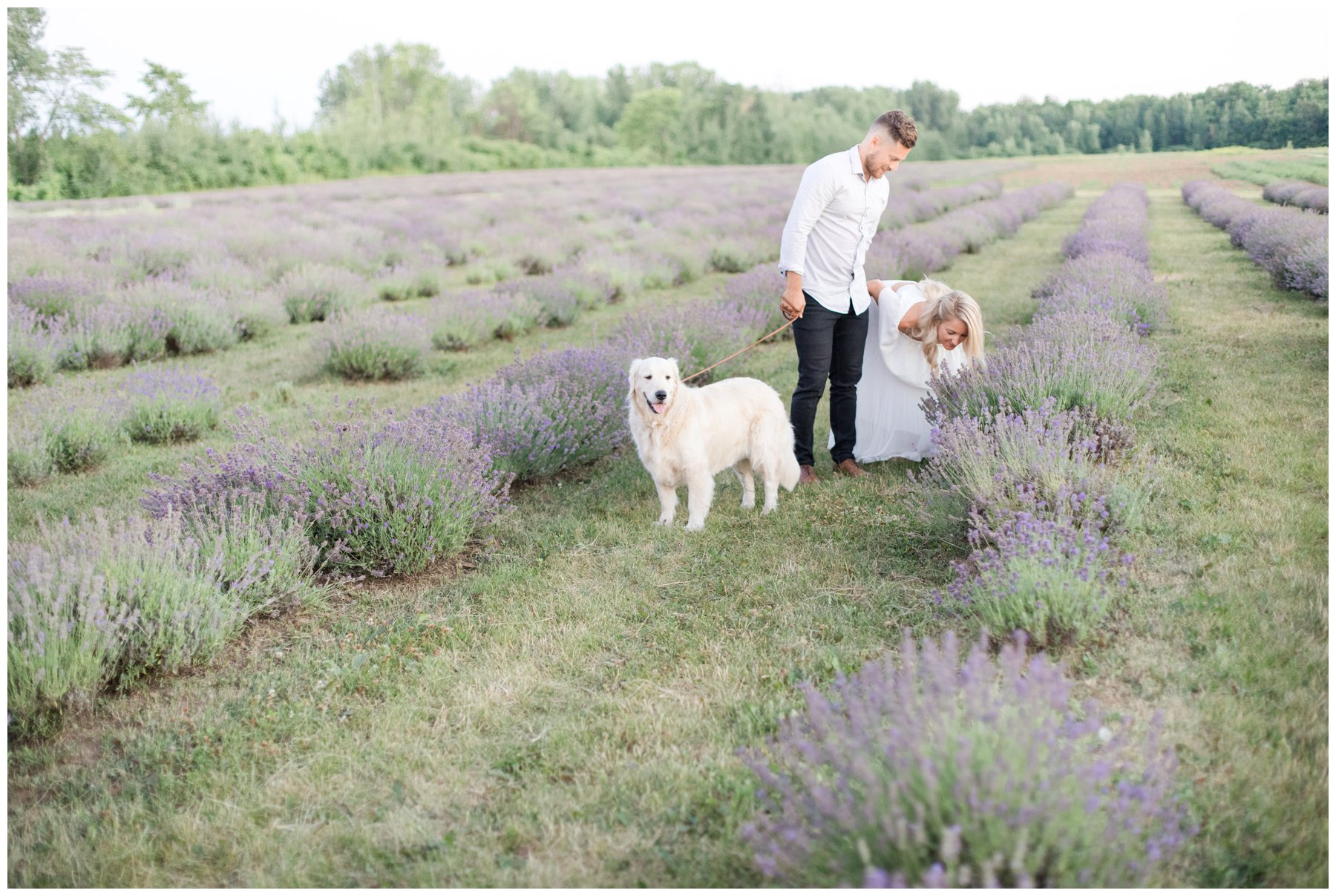 Light and airy La Maison Lavande lavender field engagement
